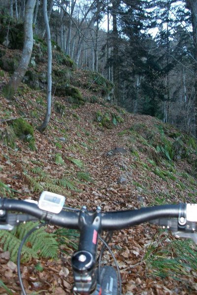 Sentier rond rouge entre Walbach et Obschel