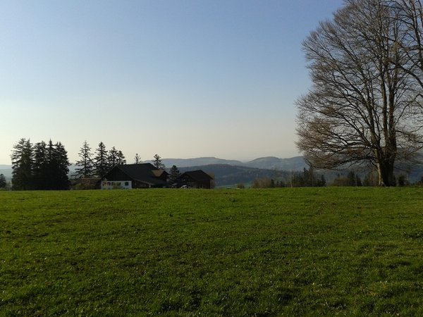 Le sommet herbeux du Jolimont et l’auberge du même nom