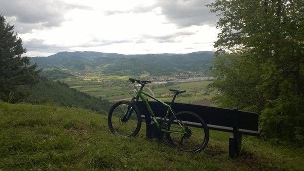 WP_20140511_003.jpg
