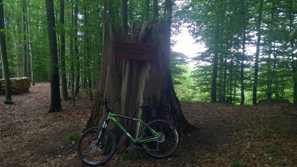 WP_20140511_005.jpg