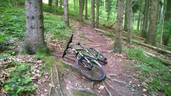 WP_20140511_015.jpg
