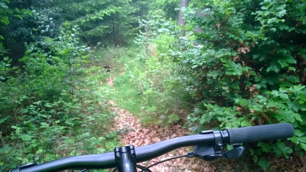 WP_20140511_009.jpg