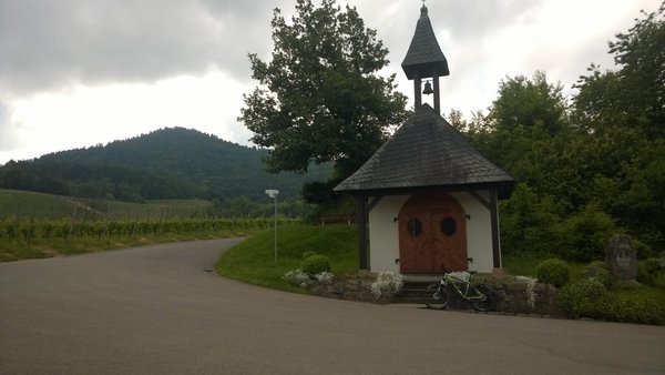 les 5 premiers km dans les vigne sur route