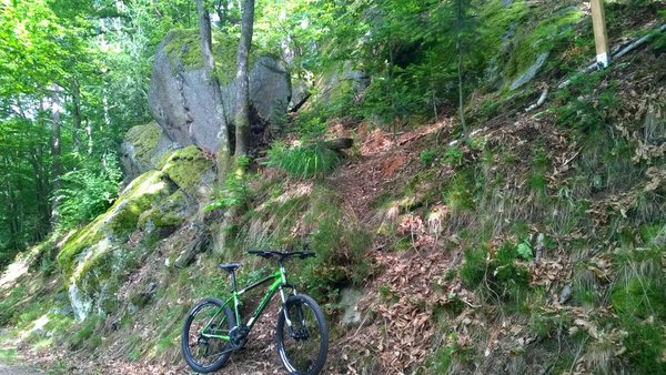 WP_20140516_009.jpg