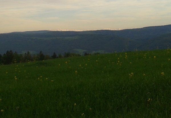 Ro2.jpg (203.75 Kio) Vu 946 fois Les Alpes Bernoises fraîchement repoudrées