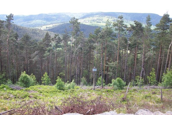 Sur les traces des vestiges de la grande guerre 014.JPG