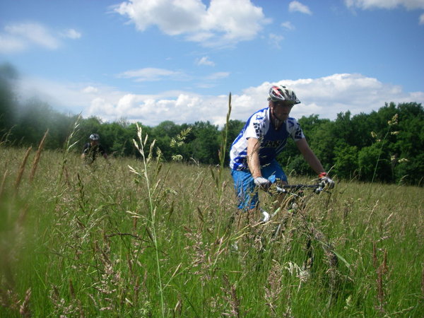 IMGP0019.JPG
