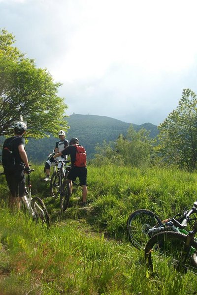 Sortie Moosch-Grand Ballon 003.JPG