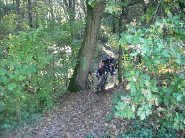 IMGP0023.JPG