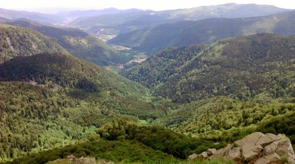 munster (800x446).jpg