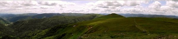 panoramic (800x176).jpg