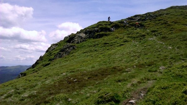 rothenbachkopf (800x448).jpg