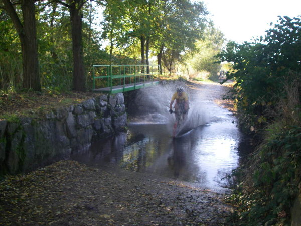 IMGP0019.JPG