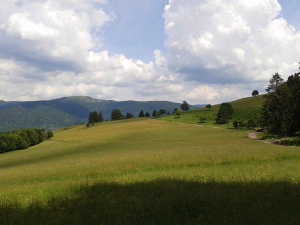 WP_000396.jpg