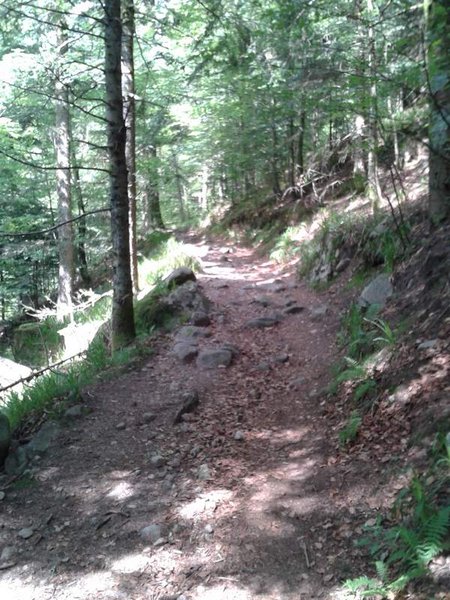 WP_000397.jpg