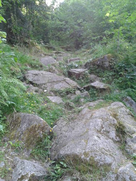 WP_000410.jpg