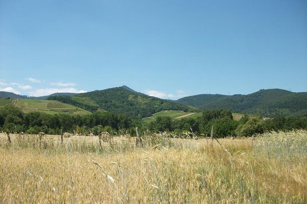 Retour sur Zimmerbach