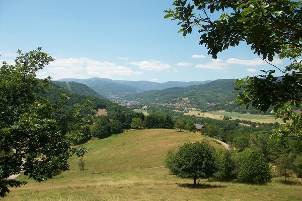 Vue sur la vallée de Munster