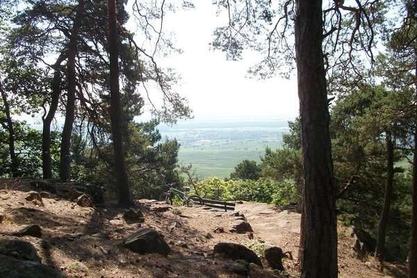 Descente sur Marbach