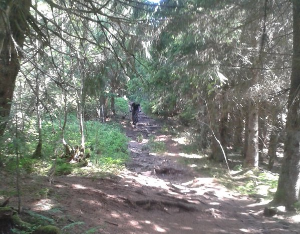 Début de la descente du Grand Brezouard...Mon beauf apprécie modérément la section &quot; les racines et marches plus y'en a meilleur c'est&quot;