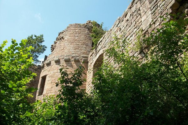 La rando du Mt St Odile 019.JPG