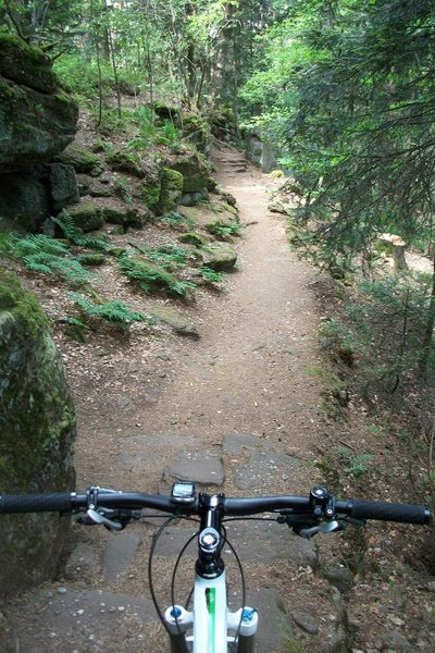 La rando du Mt St Odile 013.JPG