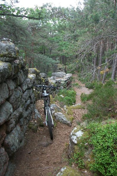 La rando du Mt St Odile 009.JPG