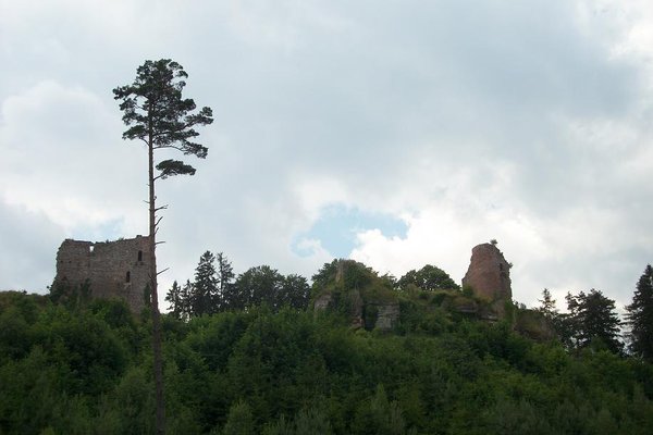 La rando du Mt St Odile 008.JPG