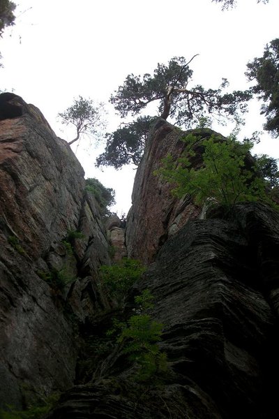 La rando du Mt St Odile 006.JPG