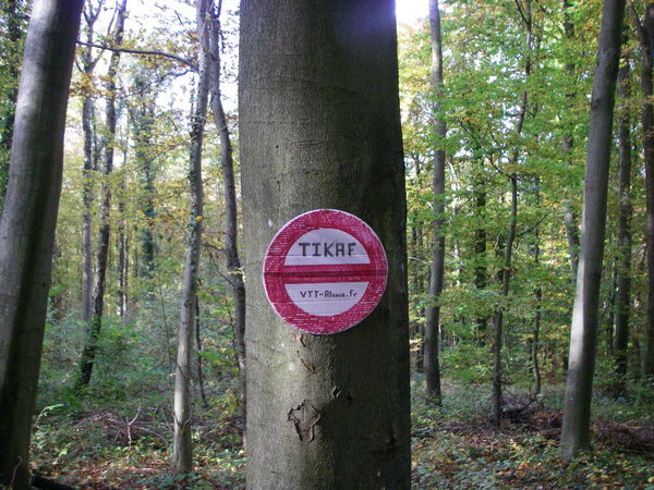 Prévention