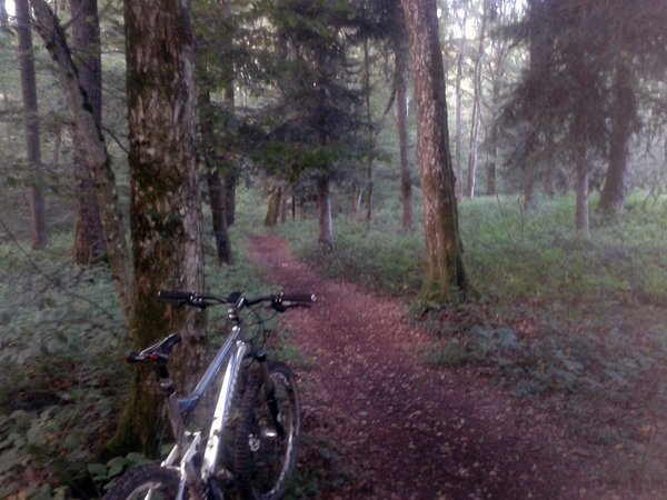 Le single du Pas du Diable à Boncourt...ça reste bien sympa  sur 5 kms de slalomer entre les arbres, et de décoller les roues...je verrais bien un tirage de bourre...