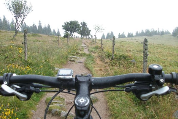 5 juillet 2014 007.JPG