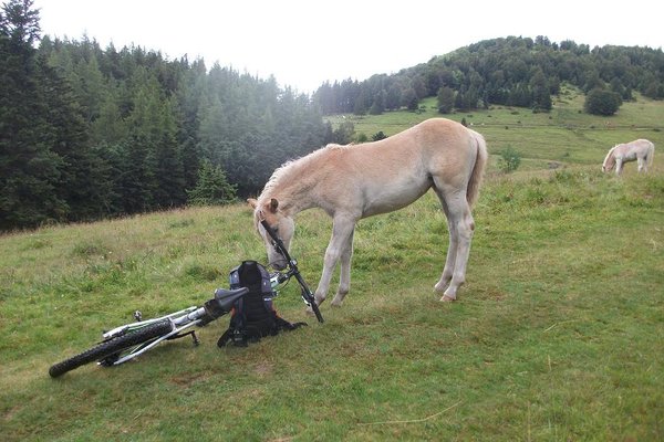 Une bien belle rencontre