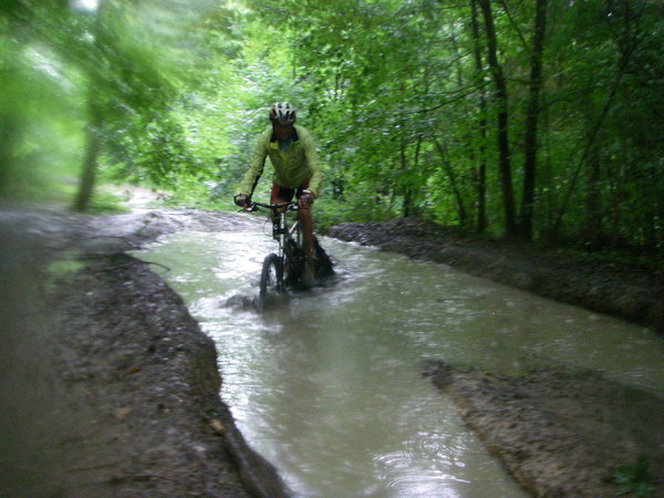 IMGP0006.JPG