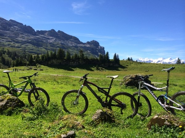 Les bikes aussi profitent du paysage