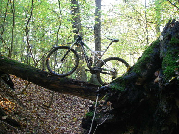 IMGP0074.JPG