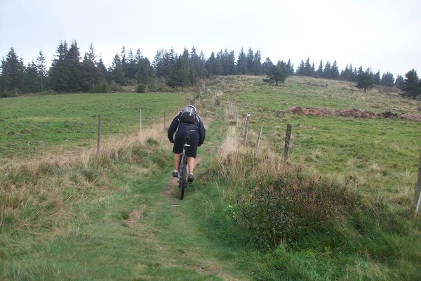Col du Platsenwasen,Zimmerbach. 013.JPG