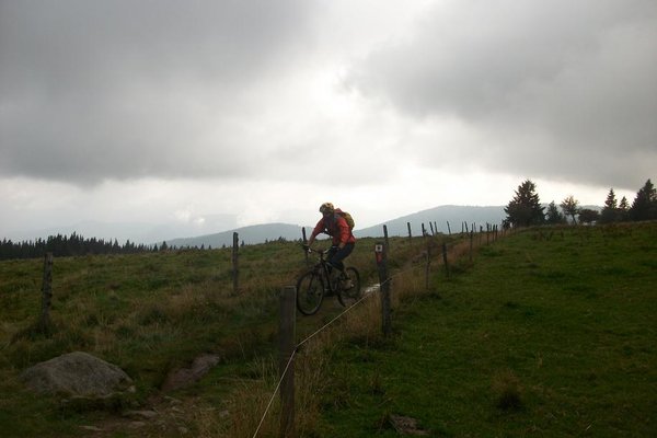 Col du Platsenwasen,Zimmerbach. 012.JPG