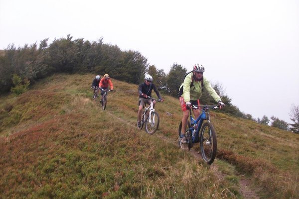 Col du Platsenwasen,Zimmerbach. 007.JPG