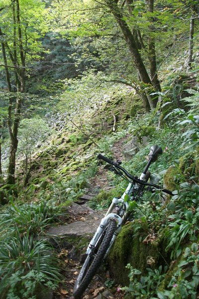 Rando Alpestre deans les Vosges 012.JPG