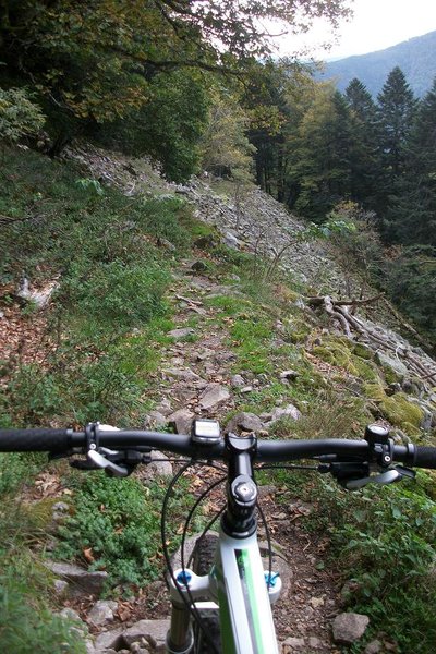 Rando Alpestre deans les Vosges 022.JPG