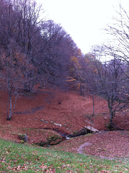 IMG_0446.jpg