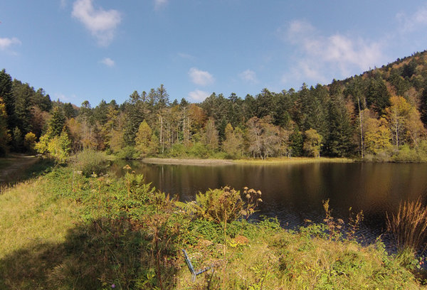Etang du Petit Haut