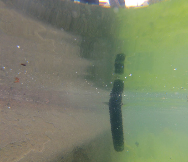 fer4.jpg (186.44 Kio) Vu 431 fois lavoir à Sondersdorf