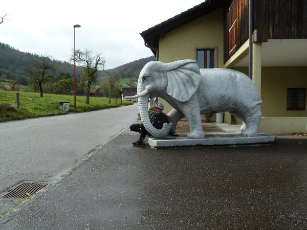P1140655.JPG