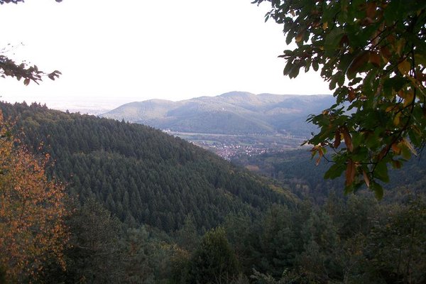 23 octobre 2014 006.JPG