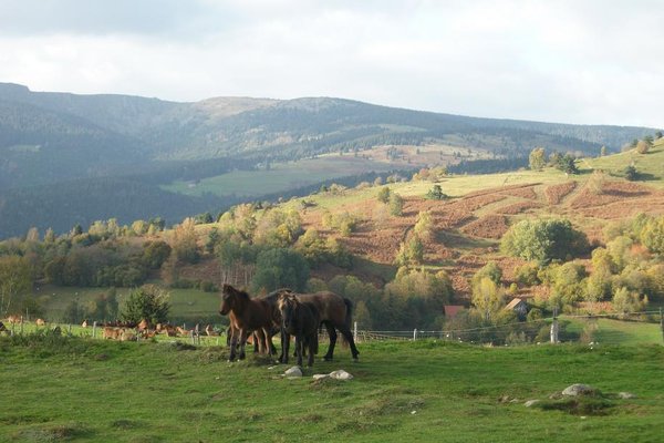23 octobre 2014 003.JPG