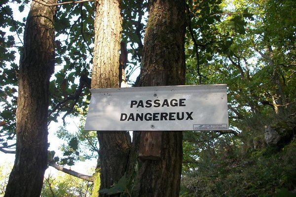 23 octobre 2014 009.JPG