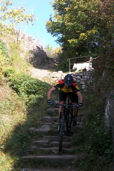 23 octobre 2014 003.JPG