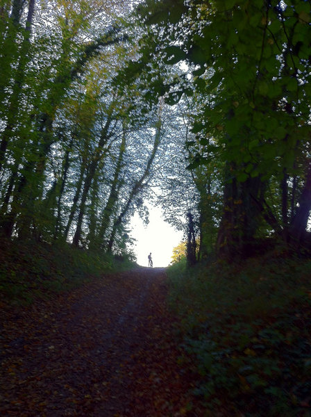 Celle là aurait peut-être pu bénéficier de l'HDR